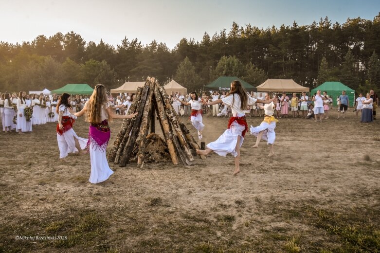  Najkrótsza noc, najdłuższe czary. Jelenie w terenie szukały kwiatu paproci 