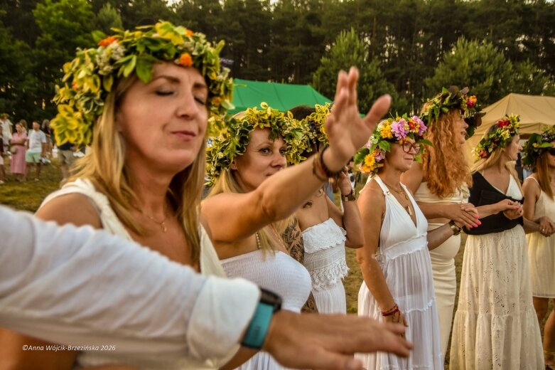  Najkrótsza noc, najdłuższe czary. Jelenie w terenie szukały kwiatu paproci 