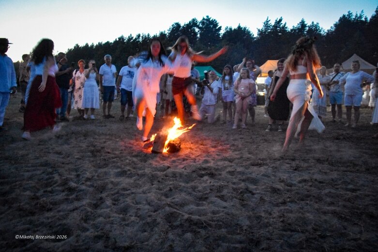  Najkrótsza noc, najdłuższe czary. Jelenie w terenie szukały kwiatu paproci 