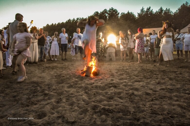  Najkrótsza noc, najdłuższe czary. Jelenie w terenie szukały kwiatu paproci 