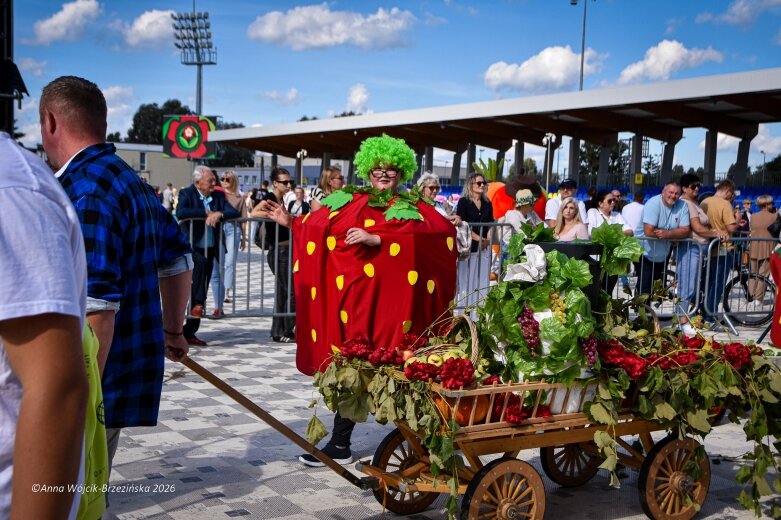  Parada Święta Kwiatów 2026 w Skierniewicach [ZDJĘCIA] 