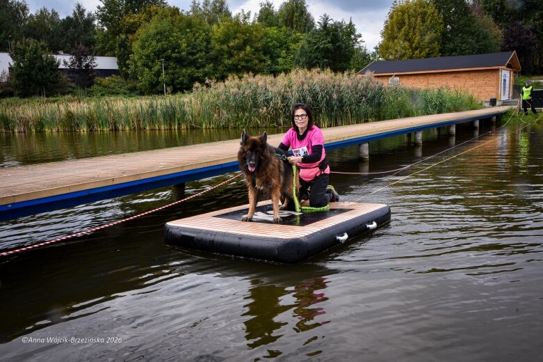  K9B nad Zalewem Zadębie. Człowiek i pies na jednej trasie 